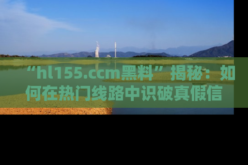 “hl155.ccm黑料”揭秘：如何在热门线路中识破真假信息