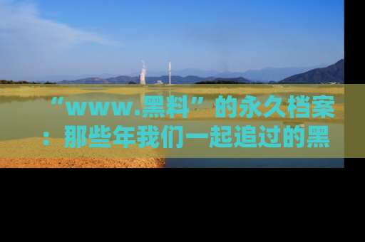 “www.黑料”的永久档案：那些年我们一起追过的黑料真相