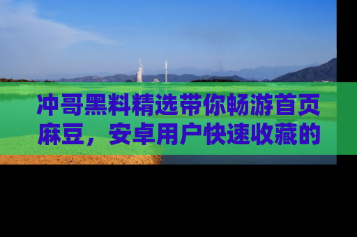 冲哥黑料精选带你畅游首页麻豆，安卓用户快速收藏的秘密武器！