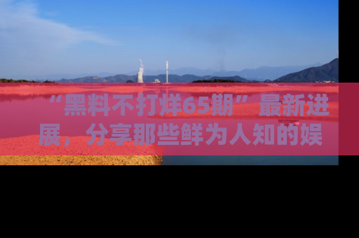 “黑料不打烊65期”最新进展，分享那些鲜为人知的娱乐八卦