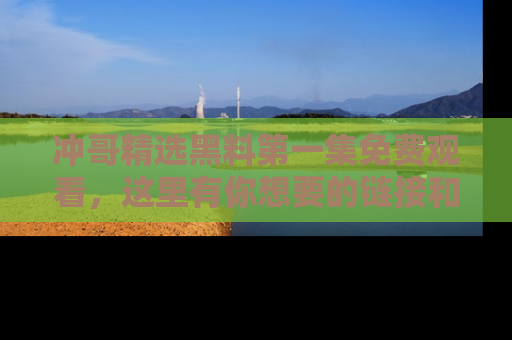 冲哥精选黑料第一集免费观看，这里有你想要的链接和内幕！