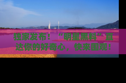 独家发布!“明星黑料”直达你的好奇心,快来围观!