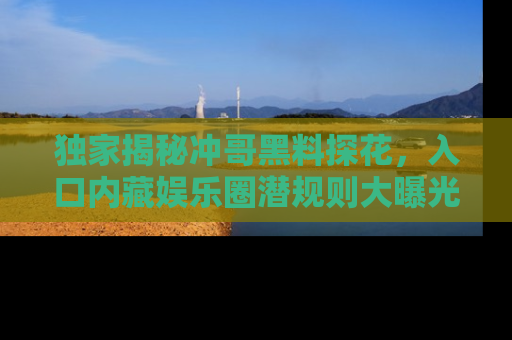独家揭秘冲哥黑料探花,入口内藏娱乐圈潜规则大曝光