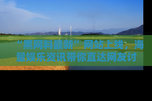 “黑网料最新”网站上线，海量娱乐资讯带你直达网友讨论的中心！
