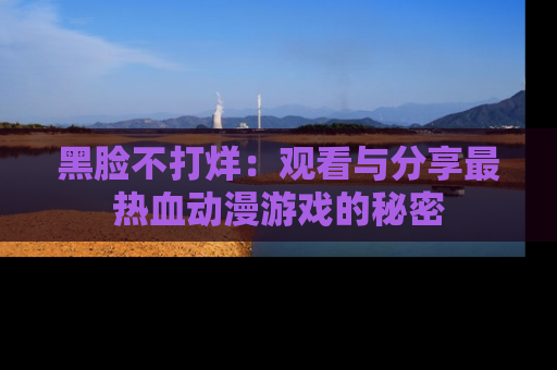 黑脸不打烊：观看与分享最热血动漫游戏的秘密