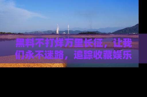 黑料不打烊万里长征，让我们永不迷路，追踪收藏娱乐爆料的乐趣！