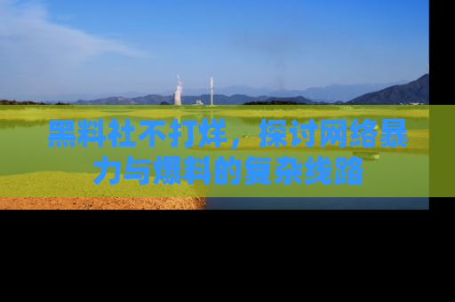 黑料社不打烊，探讨网络暴力与爆料的复杂线路