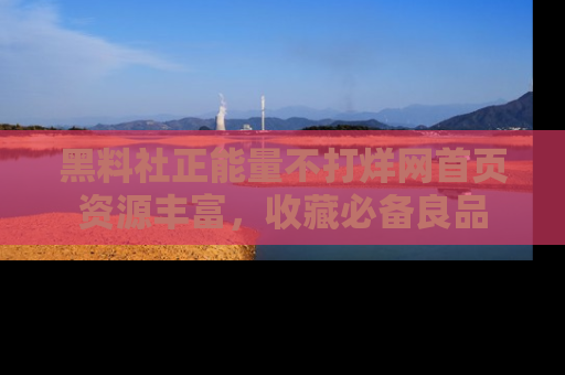 黑料社正能量不打烊网首页资源丰富，收藏必备良品