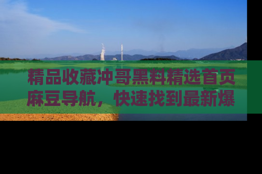 精品收藏冲哥黑料精选首页麻豆导航，快速找到最新爆料