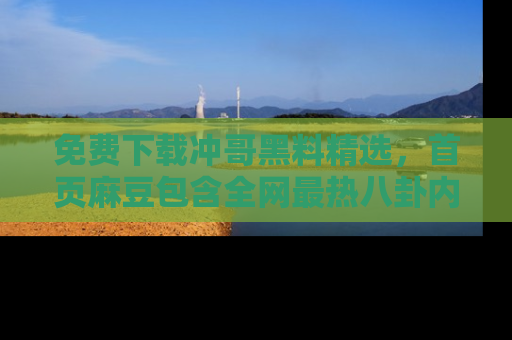 免费下载冲哥黑料精选，首页麻豆包含全网最热八卦内容
