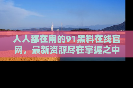 人人都在用的91黑料在线官网,最新资源尽在掌握之中