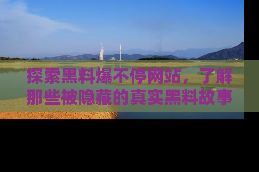 探索黑料爆不停网站,了解那些被隐藏的真实黑料故事