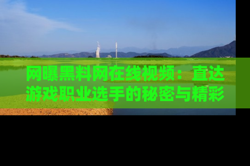 网曝黑料网在线视频：直达游戏职业选手的秘密与精彩动漫片段！
