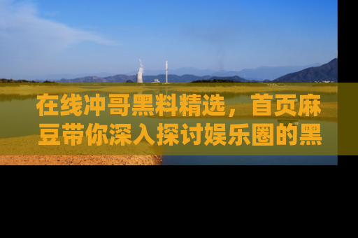 在线冲哥黑料精选,首页麻豆带你深入探讨娱乐圈的黑暗面